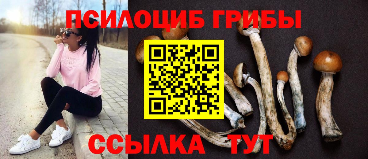 Галлюциногенные грибы Magic Shrooms Орёл