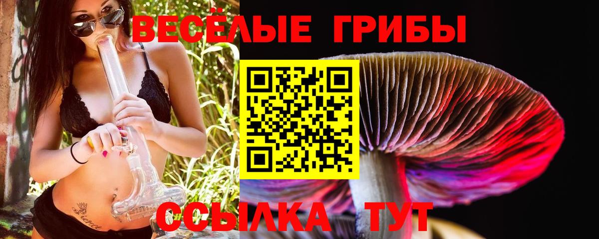 Псилоцибиновые грибы прущие грибы  Галлюциногенные грибы мухоморы  Орёл  Вход с VPN 